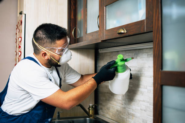 Best Affordable Pest Control Services  in Blountsville, AL