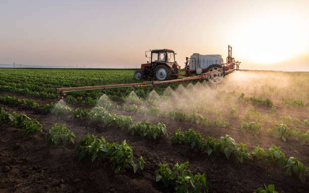 Pest Control Cost in Blountsville, AL