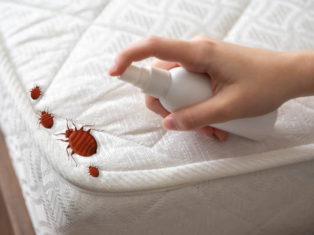 Best Best Pest Control Companies  in Blountsville, AL