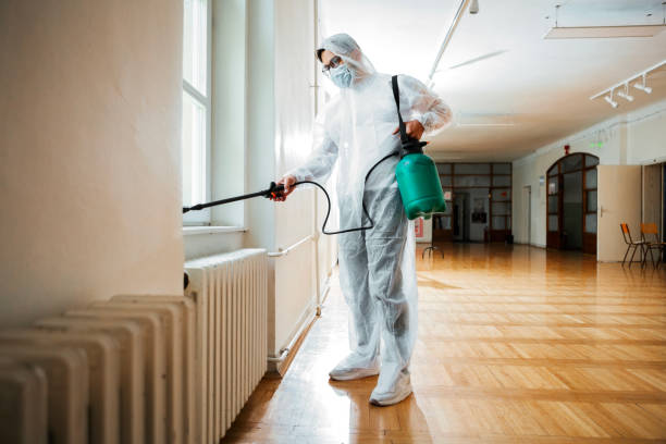 Best Cockroach Control Services  in Blountsville, AL