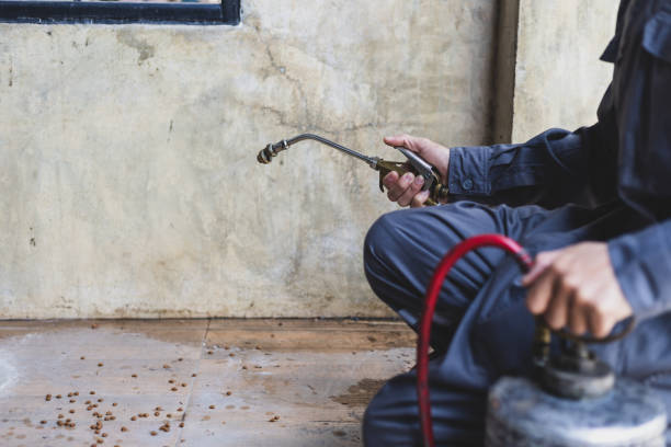 Best Commercial Pest Control Services  in Blountsville, AL